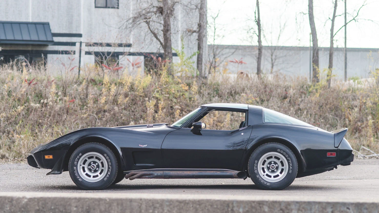 Click to Enlarge-Esc to Close Corvette Generations/C3/C3 1979 Left 4.webp